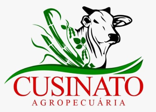 Cusinato